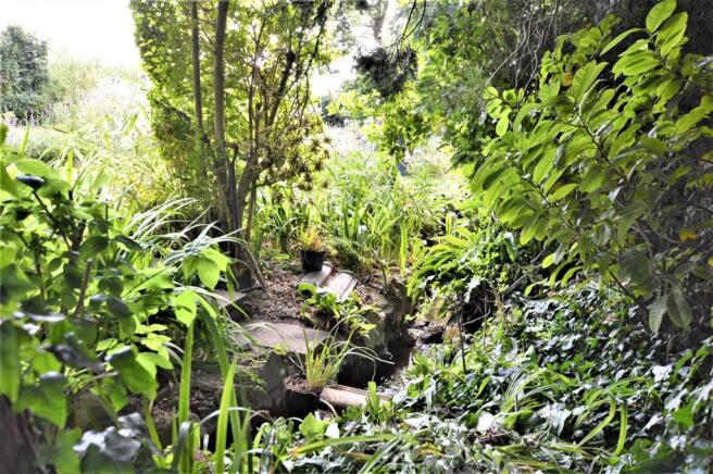 Little Stream on Boundry