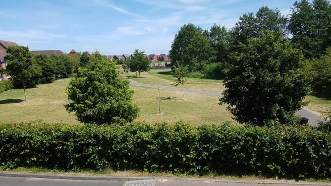 View from Upstairs Window