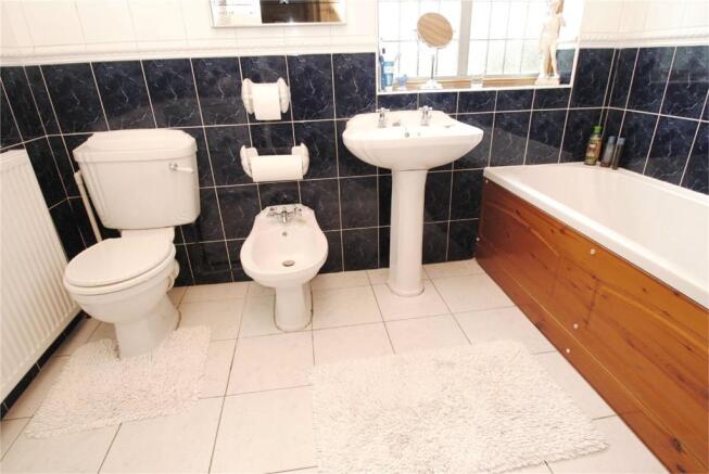 Picture 11