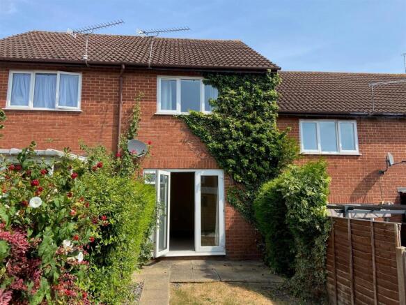 Rear Aspect