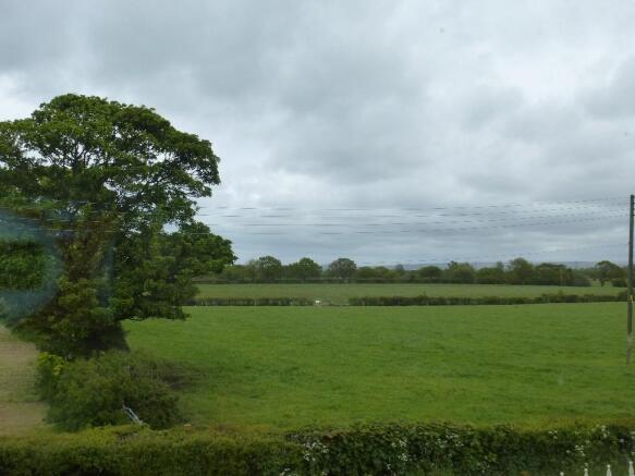 View from Bed 1