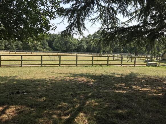 View Over Paddock