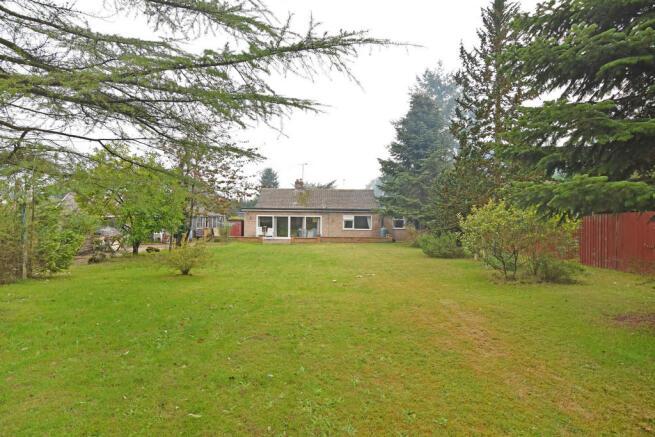 Rear Elevation