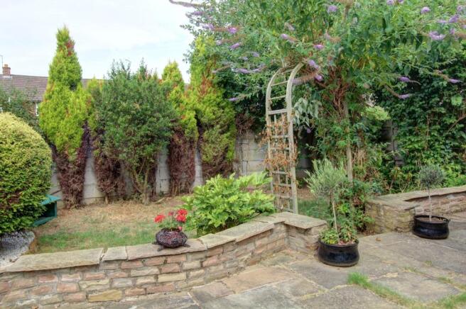 Back Garden