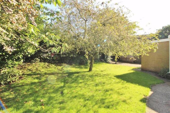 Mature Front Garden
