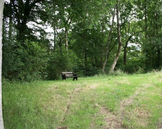 Woodland