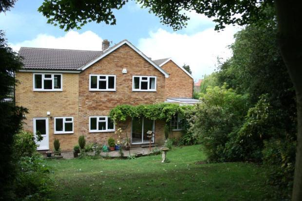 Rear Elevation