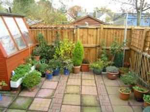 Courtyard Garden