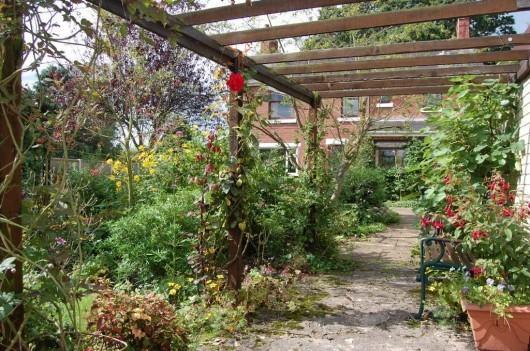 Pergola