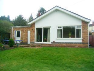 Rear Elevation