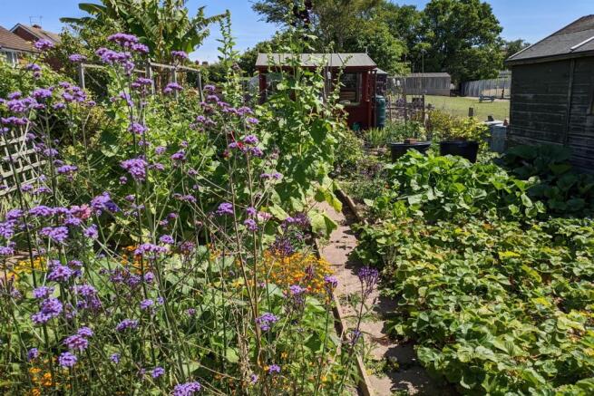 Garden 2
