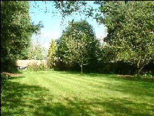 IMAGE4