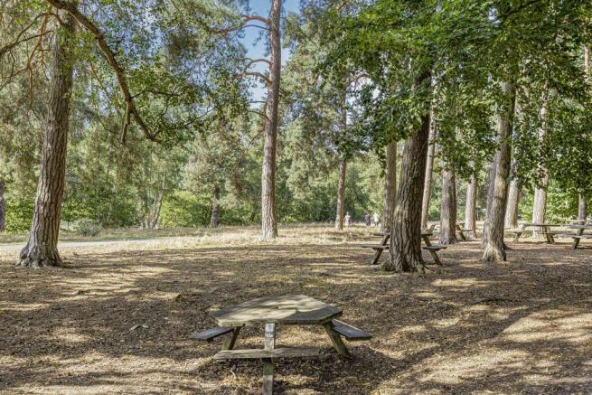 Communal Park