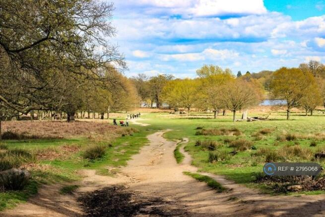 Neighbouring Richmond Park