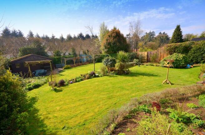 garden