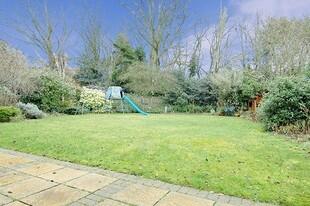 Garden Photo 1