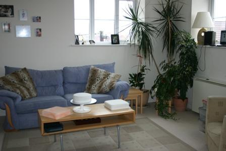 Lounge Area