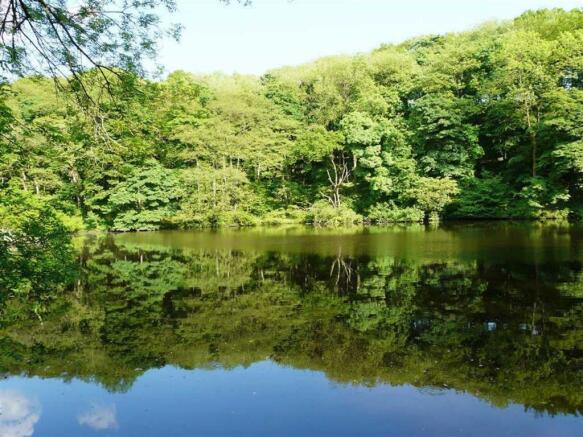 LOCAL POND