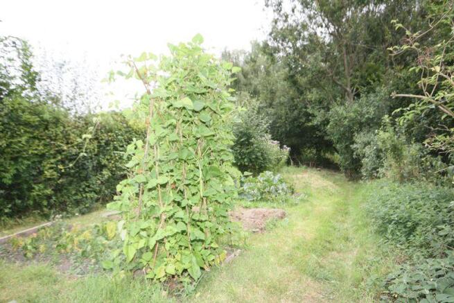Rear Garden 2
