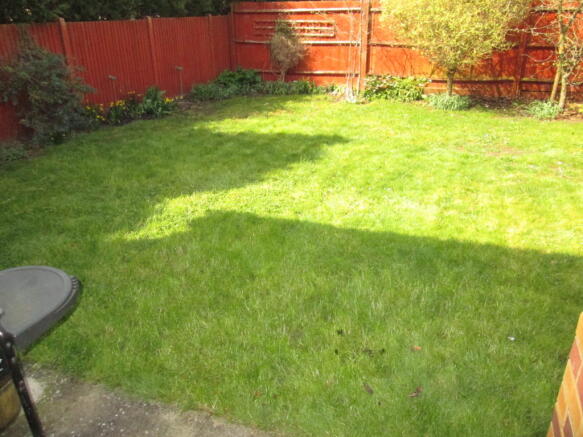 Photo 15