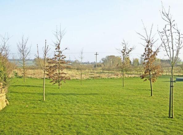 Grounds