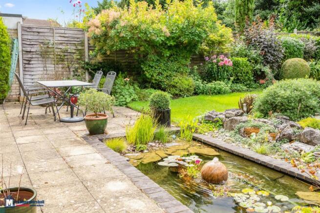 Patio/Pond