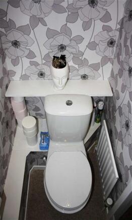 Photo 11