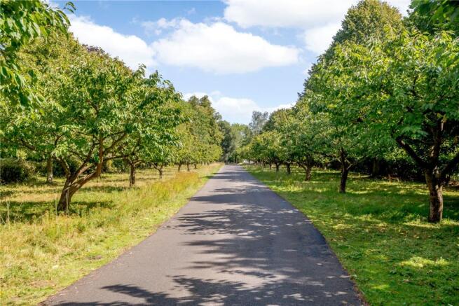 Driveway