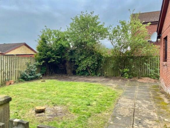Back Garden