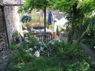 Rear Garden (2)