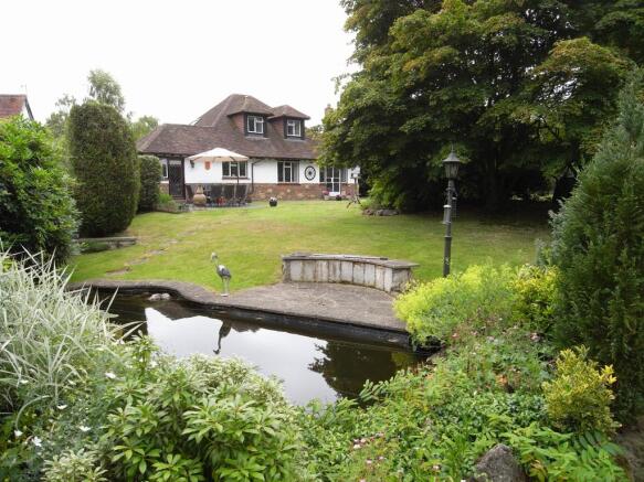 rear view & pond