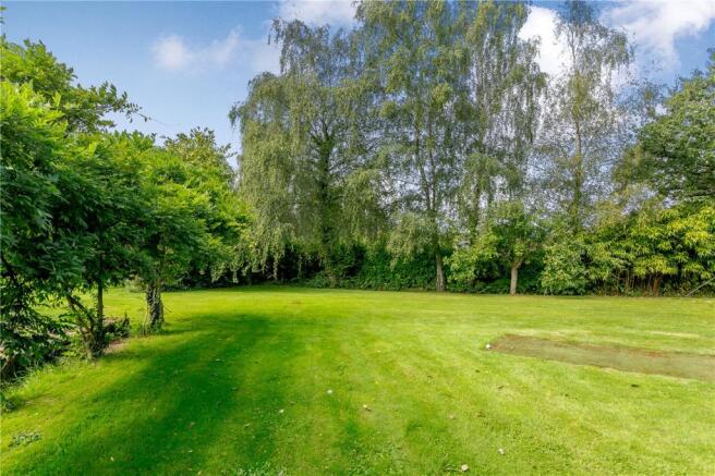 Back Garden