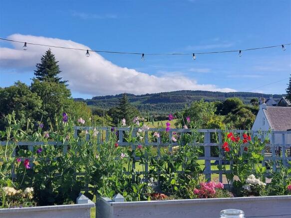 Flower view to the south
