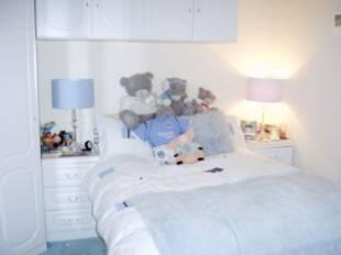 Picture 7
