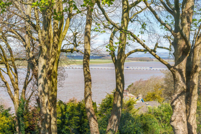 Estuary Views