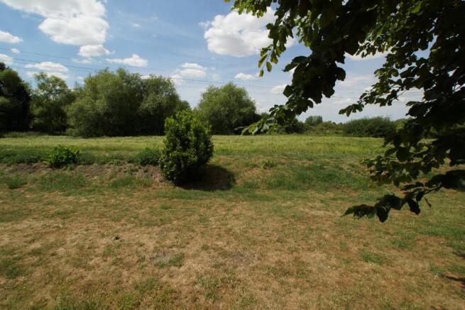 Meadow Behind