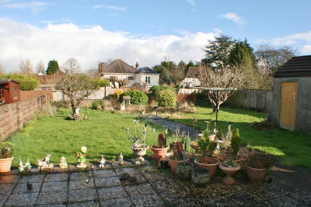 Back Garden