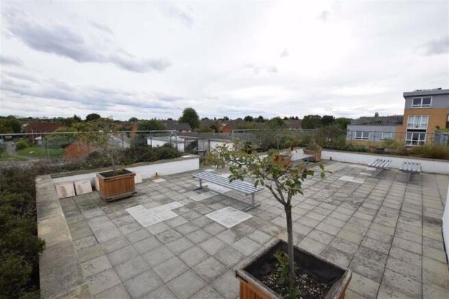 Communal Roof Terrace