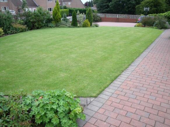 Image 15