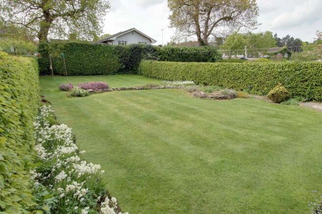Garden at Back
