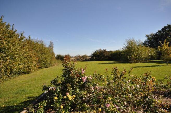 ROSE GARDEN