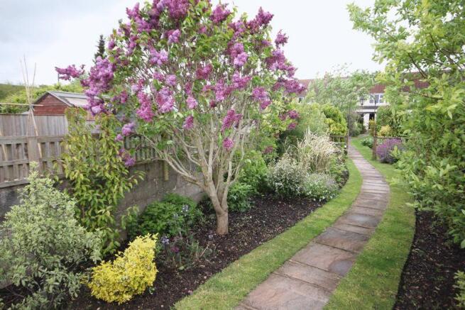 Garden 1