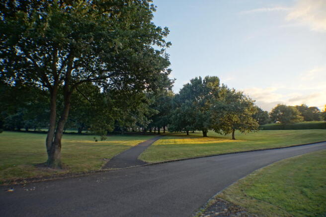 Communal Grounds