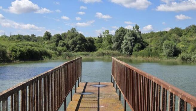 Rusty metal pier leading out over a large fishpond bordered by dense greenery and trees under a partly cloudy sky.