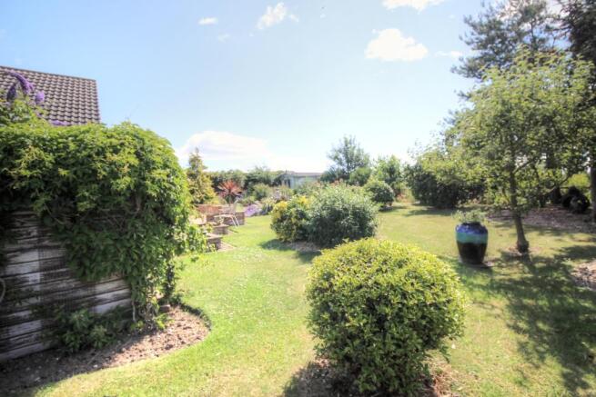 Rear garden2