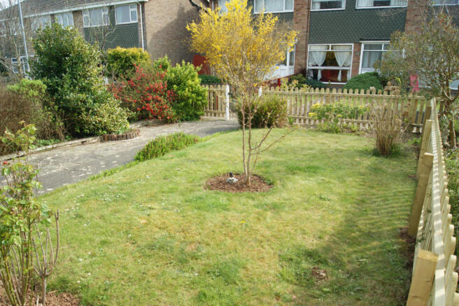 Photo 15