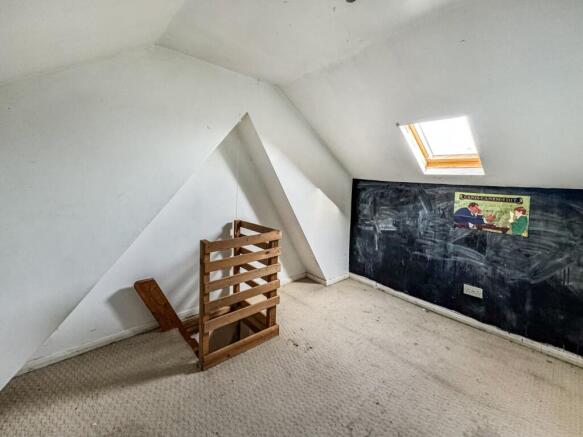 IMAGE 6