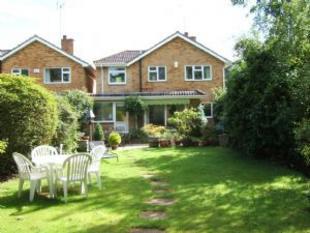 Rear Elevation