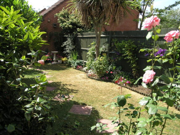 Photo 9