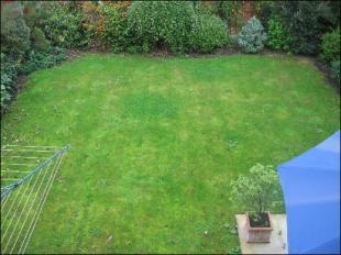 Rear Garden View